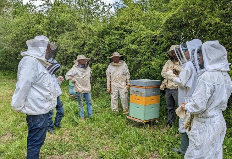 Le ministère de l’Agriculture a décidé de mettre en place un dispositif d’indemnisation exceptionnel des exploitations apicoles ayant subi une perte de chiffre d’affaires d'au moins 30 %.