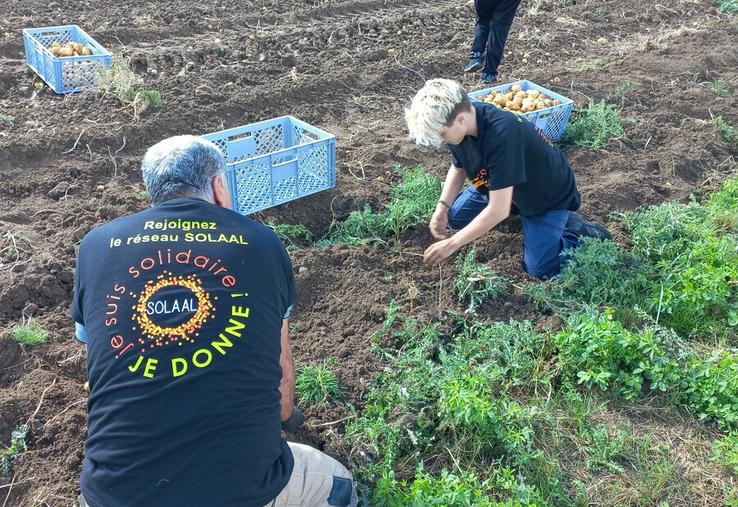 Les 10es Journées nationales du don agricole (JNDA) se tiennent ce mois-ci.