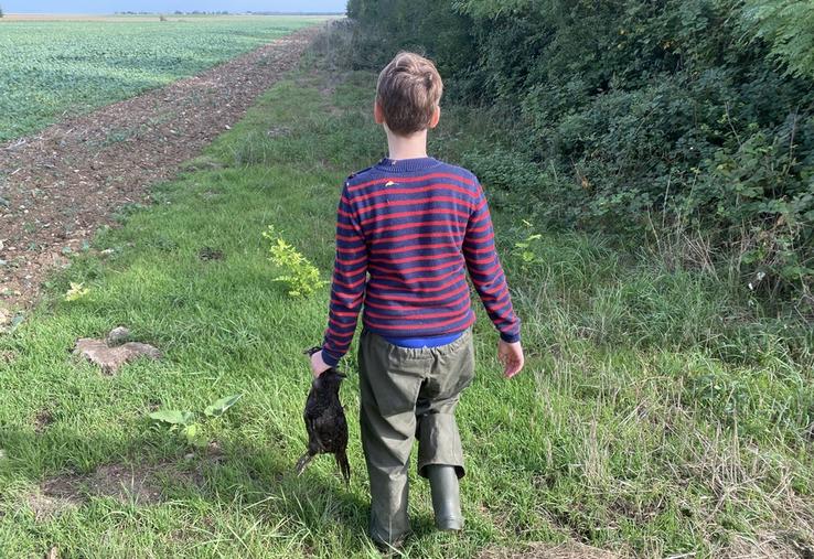 En Seine-et-Marne, les amateurs de chasse au petit gibier pourront en profiter à partir de ce dimanche 15 septembre.