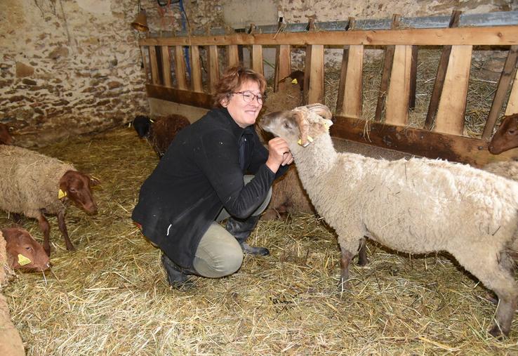 Villeneuve-les-Bordes, mercredi 11 septembre. Katia Alves a rentré en bergerie une partie de ses animaux afin de les préserver au maximum de la FCO.