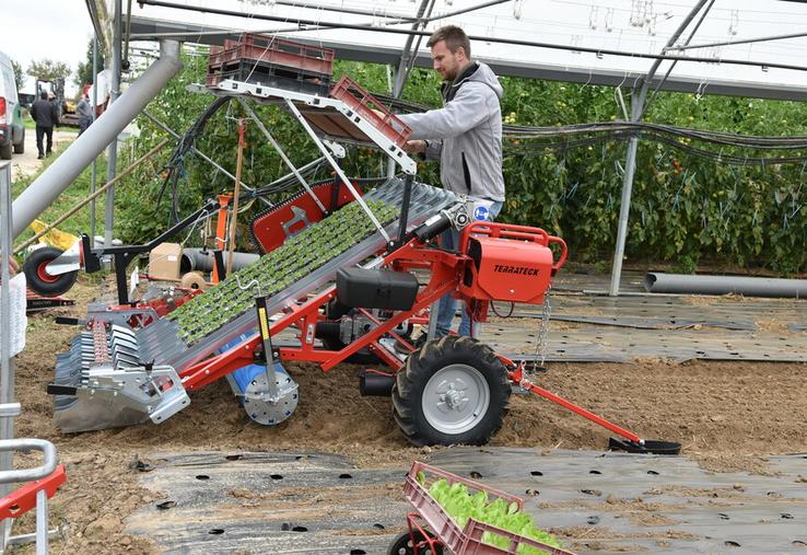 Démonstration d'une planteuse à mâches.