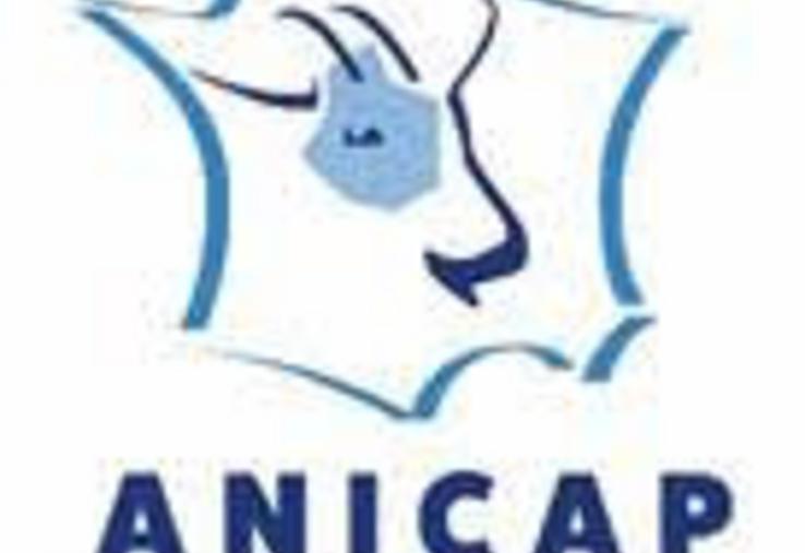 Nouveau logo Anicap CVL