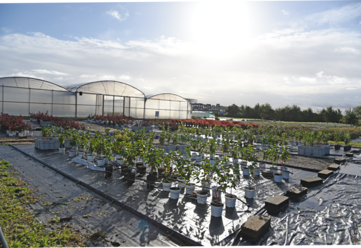 Le CDHR Centre-Val de Loire développe des méthodes, des stratégies et des produits afin d’acquérir des références techniques pour la filière.