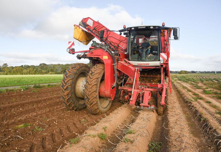 Lundi 14 octobre, à Arnouville. Trois machines ont été mobilisées pour ce chantier d'arrachage chez Grégoire Jaquemet, dont cet automoteur Grimm.