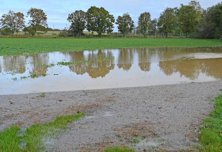 À Saint-Lubin-en-Vergonnois, une parcelle agricole était noyée par les eaux, vendredi 18 octobre dernier, après des pluies incessantes et continues la veille. 