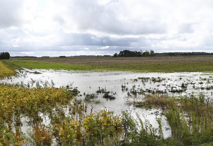 De fortes précipitations sont tombées en Loir-et-Cher ces quinze derniers jours, à l'issue d'une année très pluvieuse, causant l'inondation de nombreuses parcelles agricoles.