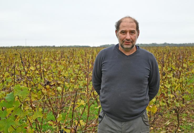 Christophe Morand est vigneron et pépiniériste viticole à Vineuil. Il revient sur les conditions climatiques délicates de 2024 et sa production de plants de vignes.