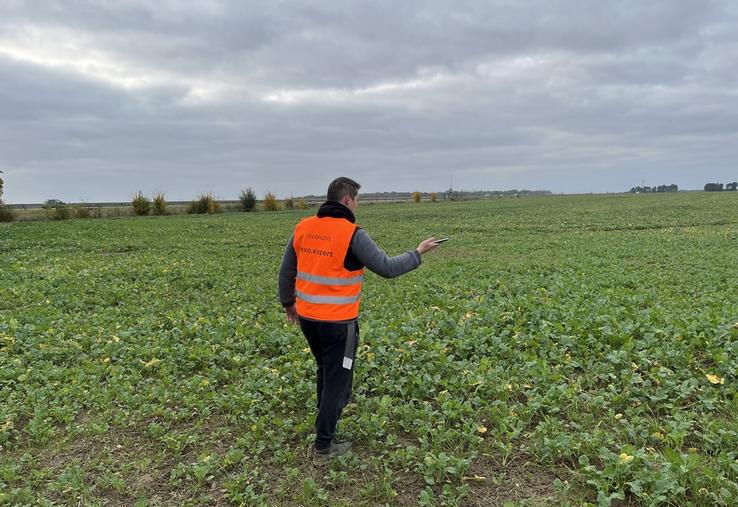 Chaintreaux, mercredi 13 novembre. Démonstration dans une parcelle de colza du fonctionnement de l'application Crop-Analyser. 