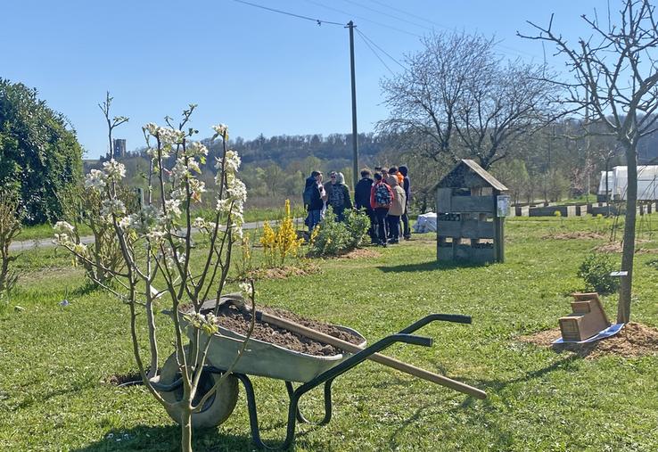 Mardi 1er avril, à Montoire-sur-le-Loir. Des collégiens de divers établissements de Loir-et-Cher ont participé à plusieurs ateliers et des arbustes symboliques ont été plantés.