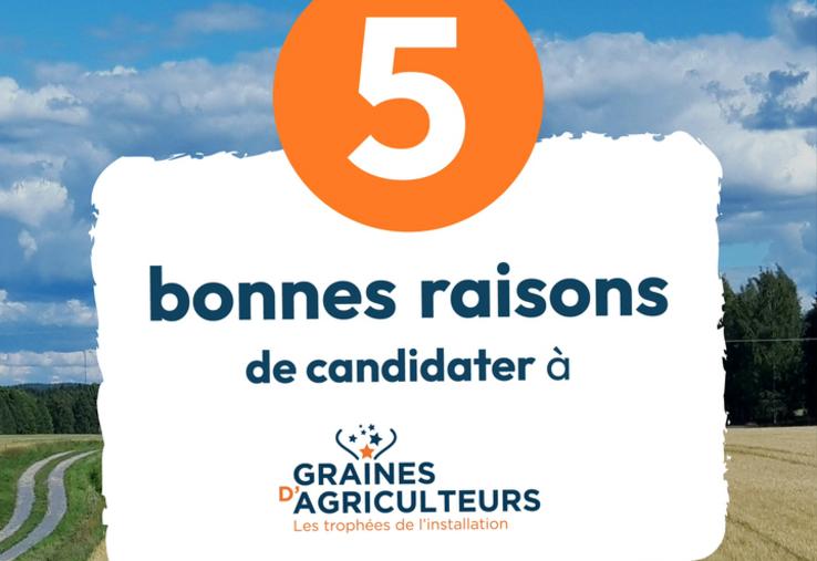 Cinq thématiques sont proposées aux candidats pour l'édition 2025.