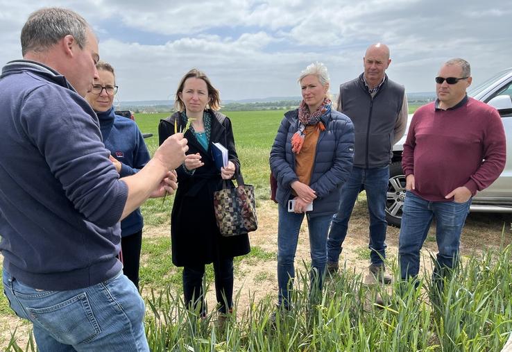 Jeudi 15 mai, à Neauphle-le-Vieux (Yvelines). Les représentants de la Driaaf et de la DDT ont constaté les dégâts de la grêle dans les champs.