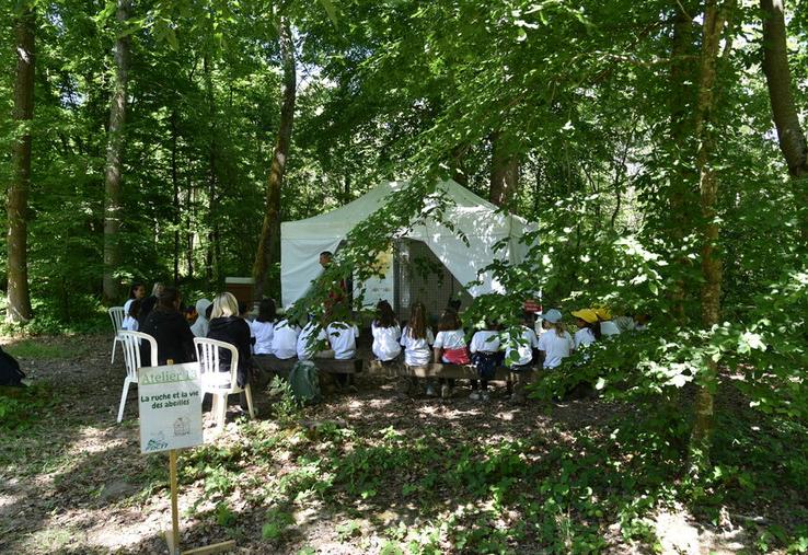 Bréau, vendredi 16 mai. Les classes participent à différents ateliers répartis sur le site du siège de la FDC 77 comme ici l'apiculture.