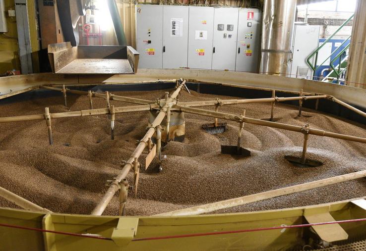 Jeudi 22 mai, à Pithiviers. La visite de la malterie a été un moment fort de la journée, illustrant les étapes clés de la transformation des céréales en malt.