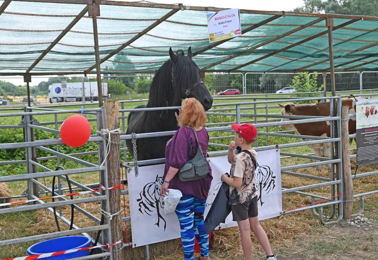 Les visiteurs ont afflué en nombre les samedi 14 et dimanche 15 juin au comice agricole de Blois. Les différents animaux présents ont bénéficié de leurs nombreuses caresses. 