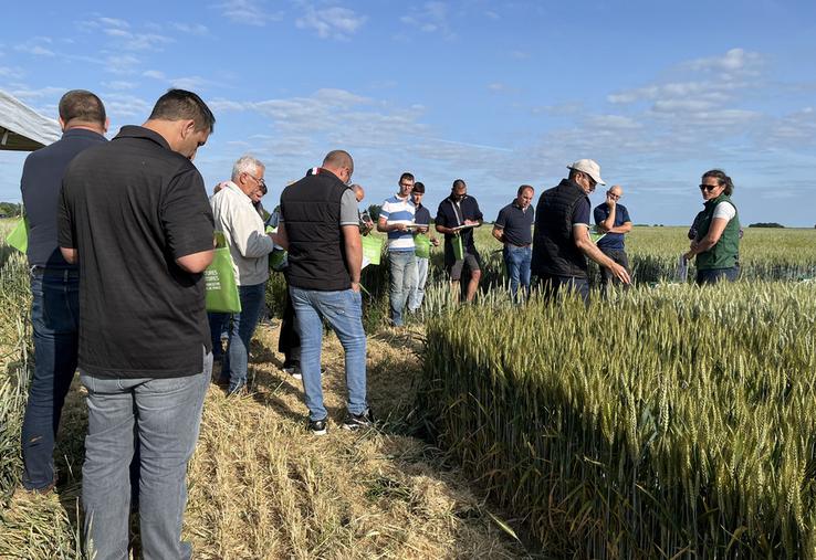 Mardi 3 juin, à Mondreville (Yvelines). Les agriculteurs ont découvert les différents essais de la chambre d'Agriculture.