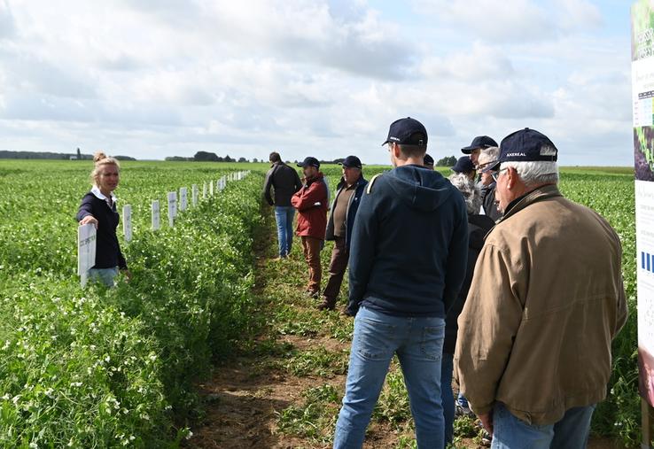 Vendredi 6 juin, à Saint-Amand-Longpré. L'une des journées agronomiques d'Axéréal a rassemblé de nombreux agriculteurs adhérents.