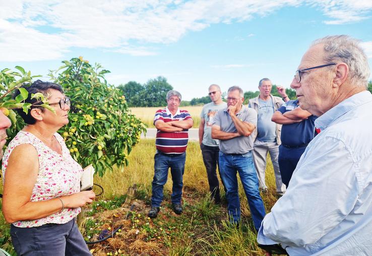 Vendredi 27 juin à Mont-Près-Chambord (Loir-et-Cher). La FNSEA 41 et JA 41 ont organisé une visite de terrain sur une parcelle de M. Croiset, en présence du maire, Gilles Clément, et de la DDT.
