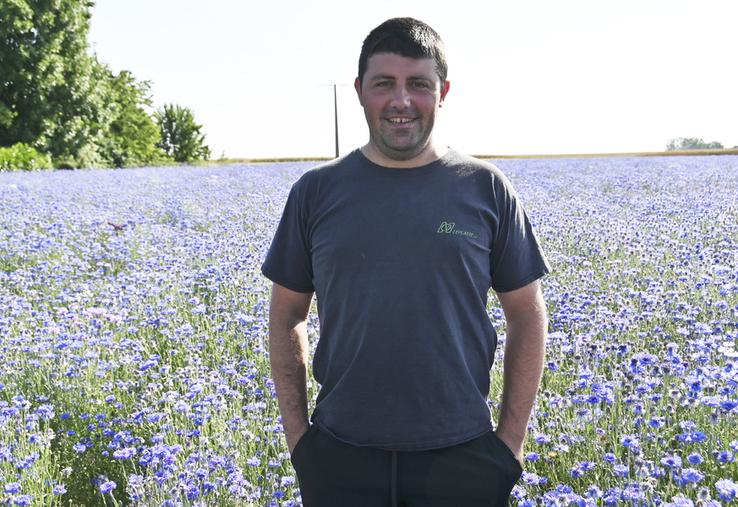 Fabien Bourgueil, céréalier en Loir-et-Cher, a décidé de se diversifier en cultivant des semences de fleurs ornementales. Pour cette campagne, il en produit sur 10 hectares. 