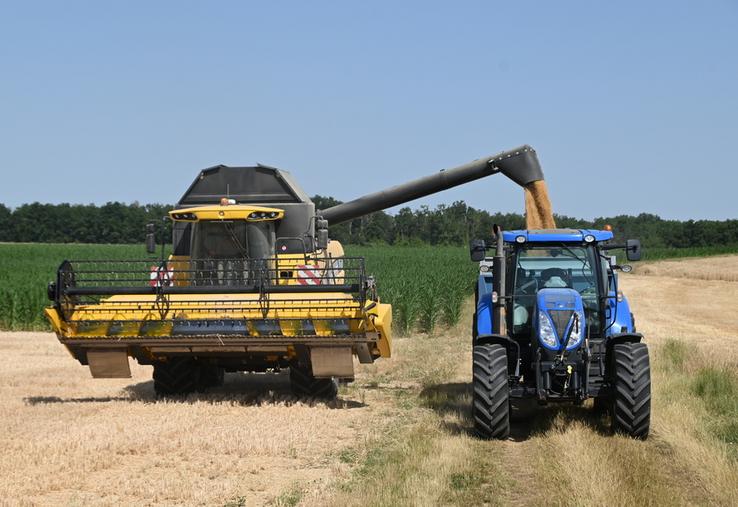 Les marchés des céréales connaissant des fluctuations, il est nécessaire pour les agriculteurs de bien les analyser afin de vendre au mieux leur récolte.