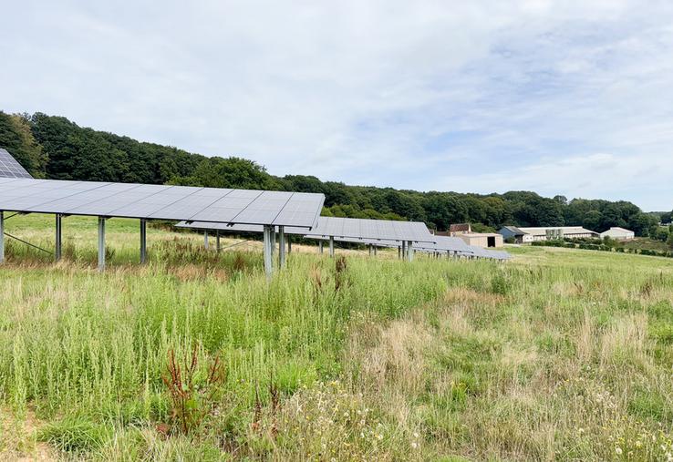 Le 4 août, à Saint-Bomer (Eure-et-Loir). Les 60 ombrières photovoltaïques installées offrent une surface de 2 600 m2, pour produire jusqu'à 500 kWh d'électricité sans gêner les poules sur leur parcours.
