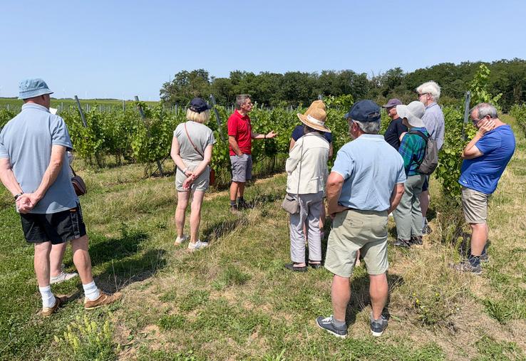 Le 6 août, à Mérouville. Le viticulteur beauceron Rodolphe Couturier (au c.) prend plaisir à expliquer à ses visiteurs toutes les facettes de son métier, de la parcelle à la bouteille.