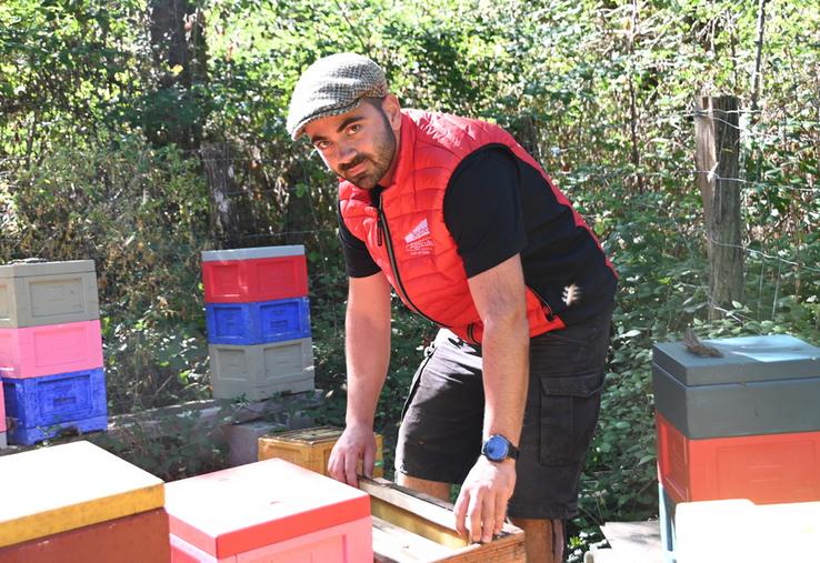 Pour la première fois depuis qu'il s'est installé, Florian Richard, apiculteur à Saint-Viâtre, a connu une bonne récolte de miel avec plus de 10 tonnes récoltées. 