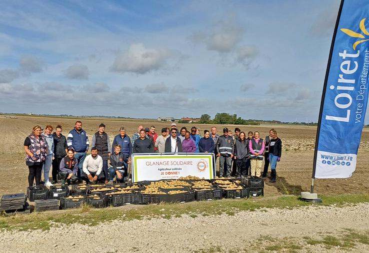 Mardi 16 septembre, à Corbeilles-en-Gâtinais. Les glaneurs d'un jour ont récolté près d’une tonne de pommes de terre destinée aux associations caritatives