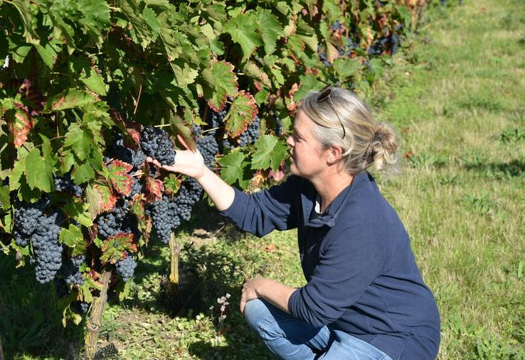 Anne Bléchet, en reconversion, s’investit aux côtés de ses frères dans le domaine familial, 100 % cépages résistants.