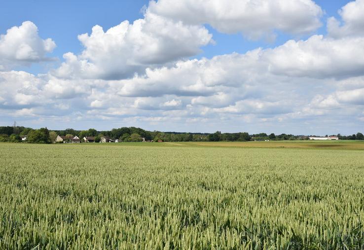 L’indice des fermages est en hausse de 0,42 %.