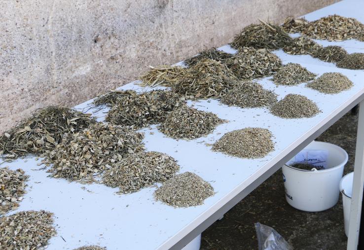 L’analyse des fourrages est nécessaire pour bien identifier leur composition, leur digestibilité et leurs valeurs alimentaires.