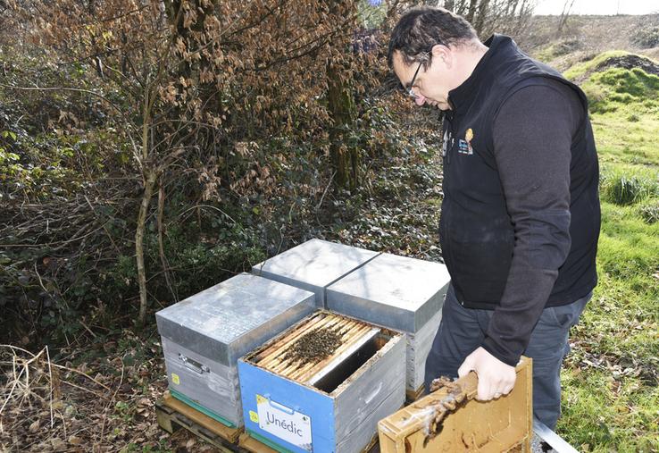 Miguel Vercruyce a adressé un courrier au député Thomas Ménagé pour demander une prise en charge publique de la destruction des nids de frelons asiatiques.