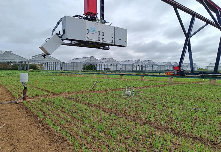 Phénofield® est une plateforme de phénotypage haut-débit permettant de scanner l’impact des stress hydriques et azotés sur le développement des plantes.
