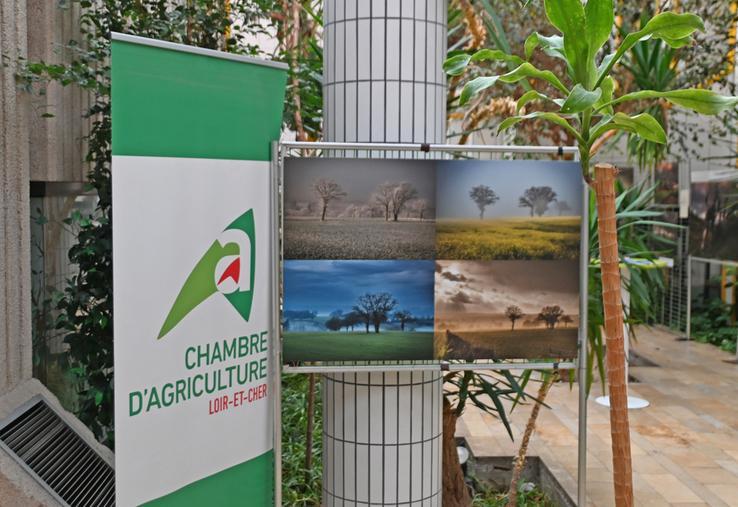 Vendredi 12 décembre, à Blois. La chambre d'Agriculture de Loir-et-Cher organisait le vernissage de son exposition photographique Paysans, paysages au sein de ses locaux. L'exposition est visible jusqu'au 23 janvier. 