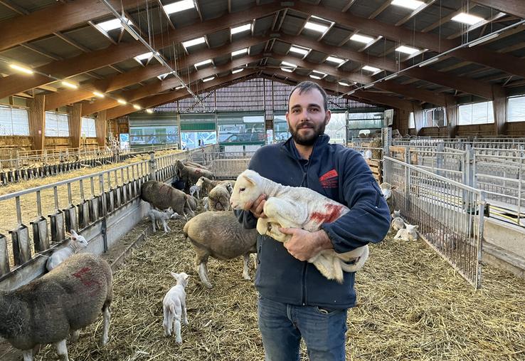 Mercredi 10 décembre, à Leudeville (Essonne). Matthieu Ode a réalisé plusieurs agnelages cet hiver.