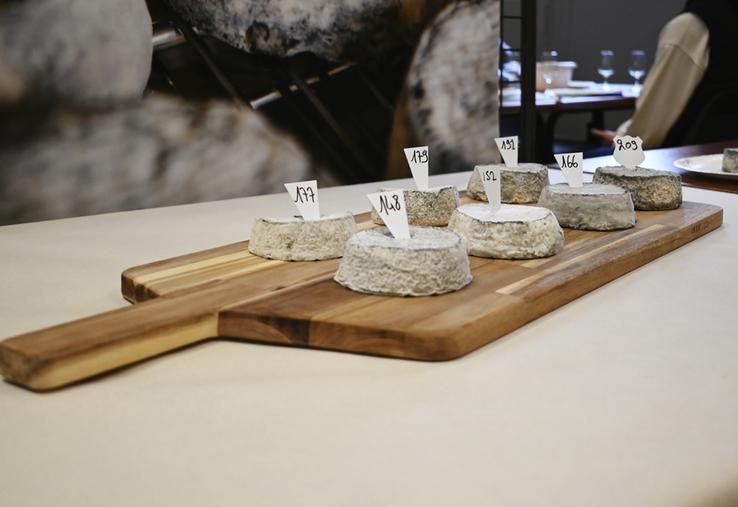 Reconnaissables à leur croûte grise et cendrée, les fromages AOP Selles-sur-Cher incarnent cinquante ans de savoir-faire caprin et d’ancrage territorial.