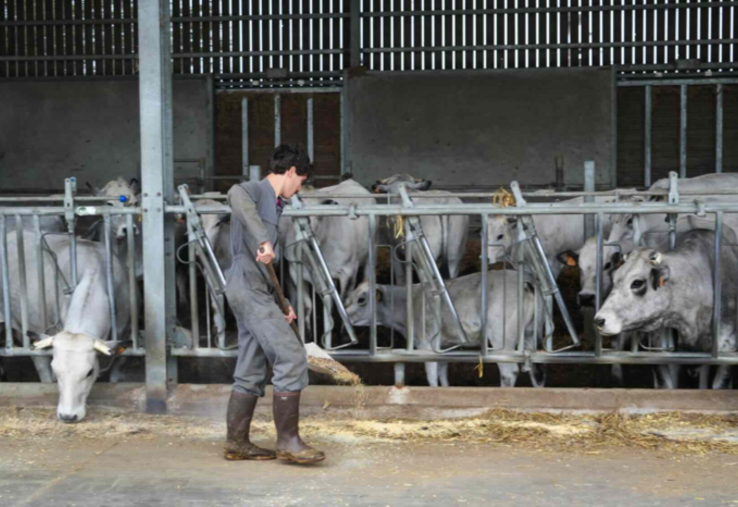 Parcoursup, la plateforme de préinscription en première année de l'enseignement supérieur, a ouvert le 19 janvier. Les candidats ont jusqu'au 12 mars pour formuler leurs vœux.