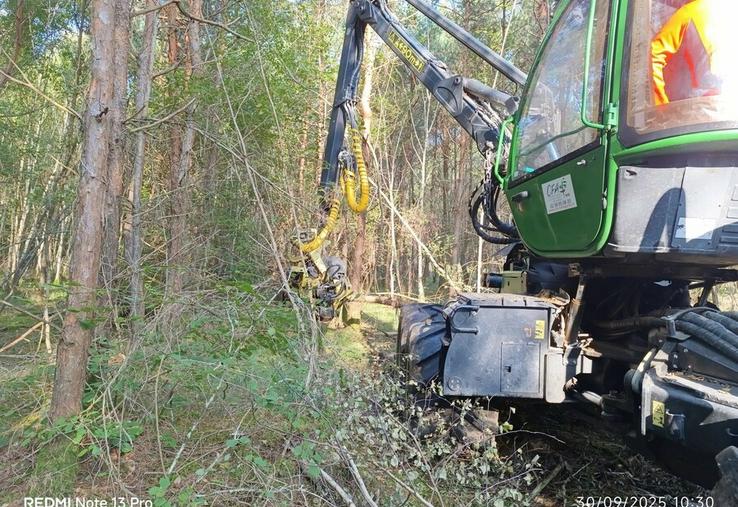 À Bellegarde, le CFA agricole du Loiret forme par apprentissage aux métiers forestiers, de la sylviculture à la conduite d’engins, en lien étroit avec les acteurs professionnels de la filière.
