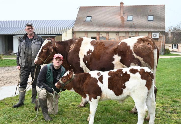 Frédéric et Antoine Jaffré n'emmèneront pas Romy et Alba au Salon de l'agriculture à Paris malgré un bel investissement depuis plus d'une année.