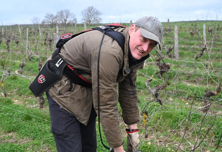 Mardi 17 février, à Villiers-sur-Loire. Florent Jumert, viticulteur à la tête d'un vignoble de 12 hectares, a commencé la taille des vignes début janvier. Celle-ci devrait se terminer fin février. 