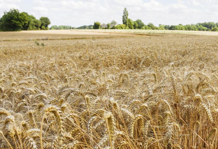 Une enveloppe de 1 434 000 euros est disponible pour le département d'Eure-et-Loir.