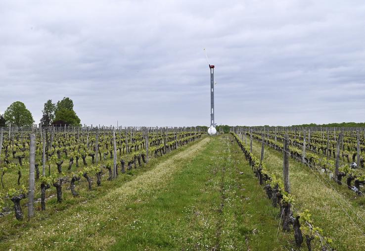 Les tours antigel ont bien fonctionné durant les dernières gelées en fin de semaine dernière. 