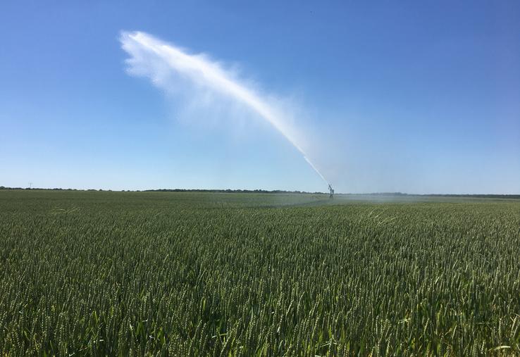 Sécheresse précoce, pluie tardive : l’eau reste au cœur des enjeux agricoles dans le Loiret.