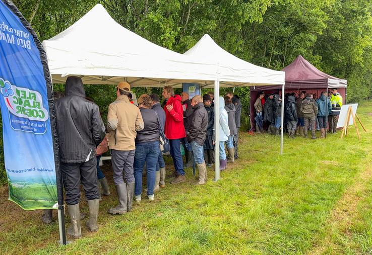 Mardi 5 mai, à Dammarie. Sous la pluie tant attendue, une quarantaine d'agriculteurs a participé à la réunion technique consacrée au lin oléagineux autour des représentants de toute la filière.