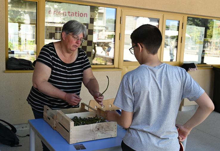 Jeudi 21 mai, à Veuzain-sur-Loire. Lors de l'opération De la terre à l'assiette organisée par le conseil départemental au collège, certains élèves ont découvert les asperges vertes.