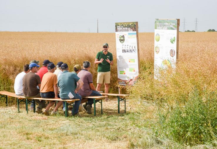 Mardi 16 juin, à Outrouville. Au fil d'une série d'ateliers, la Rencontre agronomique d'Axéréal a essayé de donner aux agriculteurs des pistes pour pallier les difficultés du moment.
