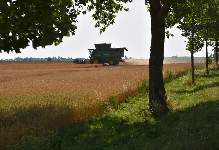 Lundi 22 juin, à Étampes (Essonne). Le lancement de la moisson 2026 est perturbé par une période de canicule.