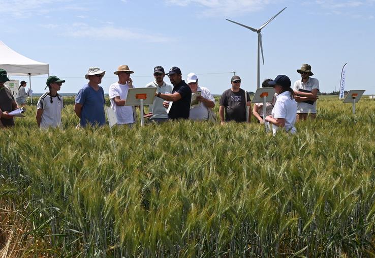 Jeudi 28 mai, à Ouzouer-le-Marché. Une trentaine d'agriculteurs a participé à la visite d'essais blé dur organisée par Arvalis.