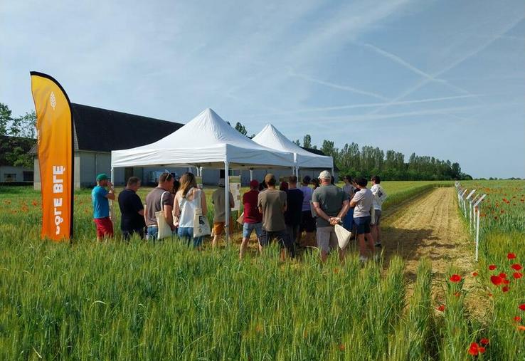 Vendredi 29 mai, à Coignières (Yvelines). Les rendez-vous bio ont marqué le lancement des plateformes techniques de la Chambre.