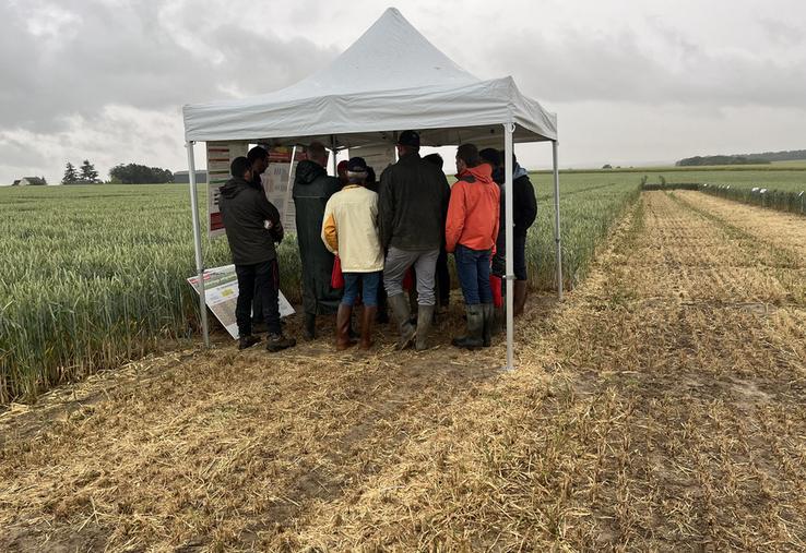 Mardi 2 juin, à Richebourg (Yvelines). Malgré la pluie, les agriculteurs sont venus assister à la plateforme ouest de la chambre d'Agriculture Île-de-France.