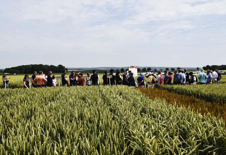 Mardi 16 juin, à Vallangoujard (Val-d'Oise). La plateforme de la Chambre a réuni agriculteurs et élus locaux.
